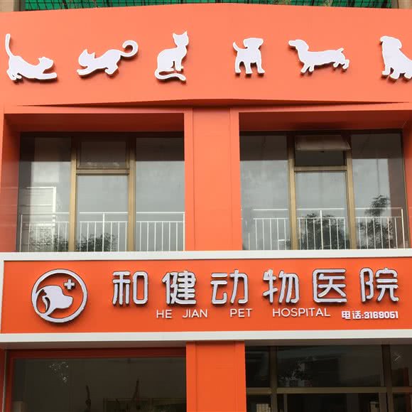 和健动物医院:张家口市宣化区