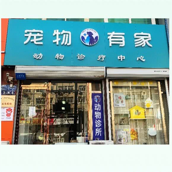 宠物有家宠物诊所:张家口市宣化区