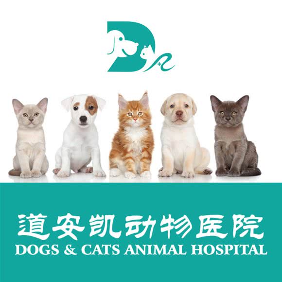 道安凯动物医院:张家口市万全区