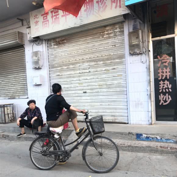 北市区高瑞平哺乳动物诊所:保定市莲池区东风桥市场附近