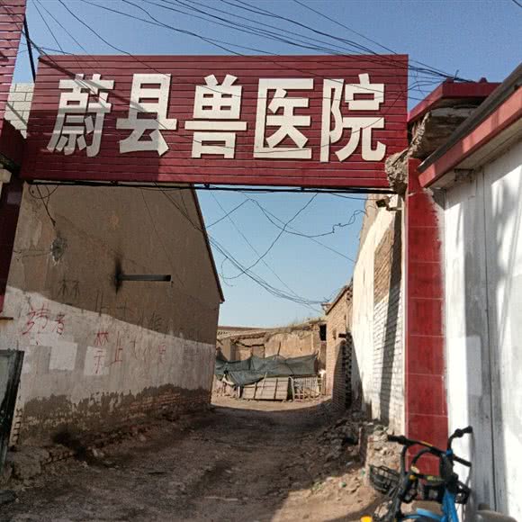 蔚县兽医院:张家口市蔚县