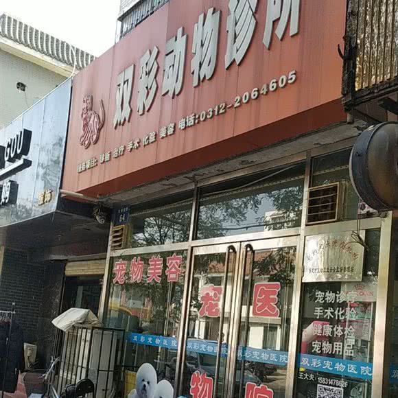 双彩动物诊所:保定市莲池区双彩附近