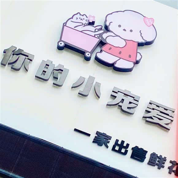 你的小宠爱:保定市莲池区保师附小附近