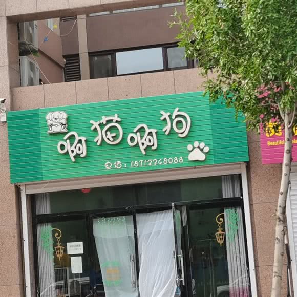 啊猫啊狗:张家口市涿鹿县