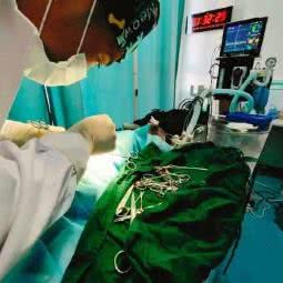 迪宠宠物医院:承德市承德县