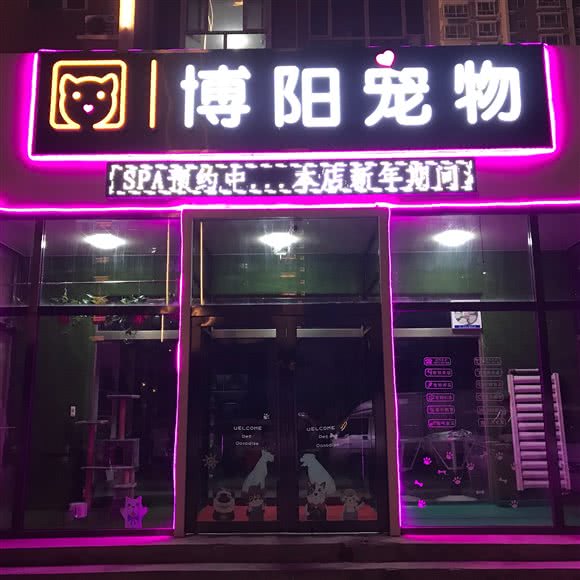 博阳宠物狗:保定市莲池区丽景蓝湾附近