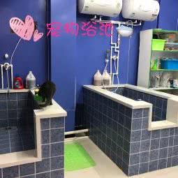 圣宠宠物店(财富广场店):承德市兴隆县