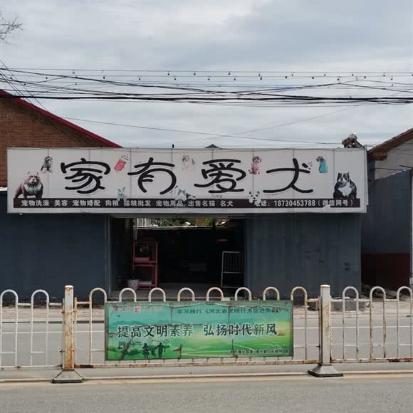 家有爱犬:承德市隆化县