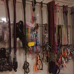 爱宠一生宠物生活馆:承德市丰宁满族自治县