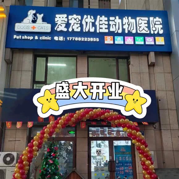 爱宠优佳动物医院:保定市莲池区丽景蓝湾附近