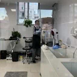 一只狗的幸福生活:承德市围场满族蒙古族自治县