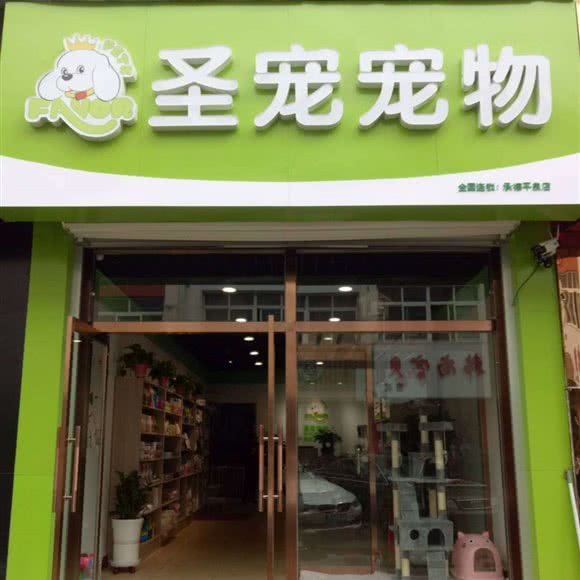 圣宠宠物(兴平商业街店):承德市平泉市