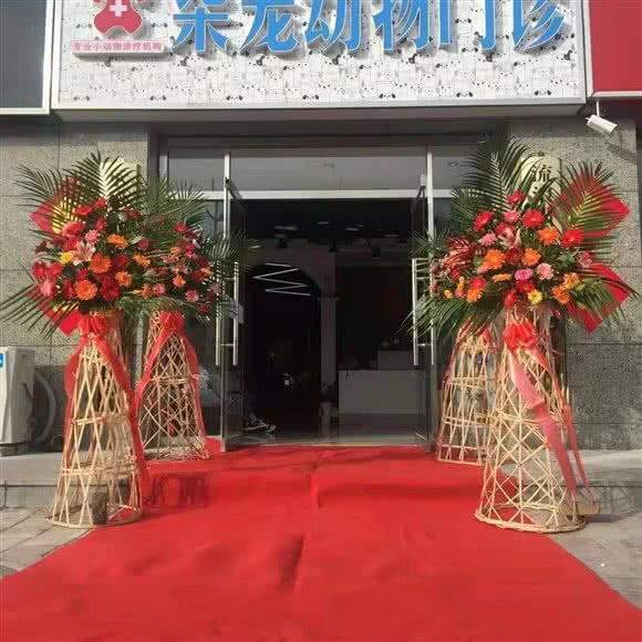 柒宠动物门诊:承德市平泉市