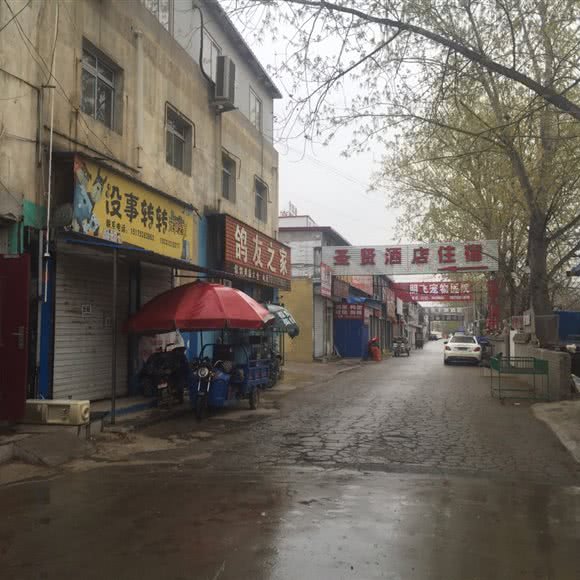 宠物市场:保定市莲池区军校广场/河大附近