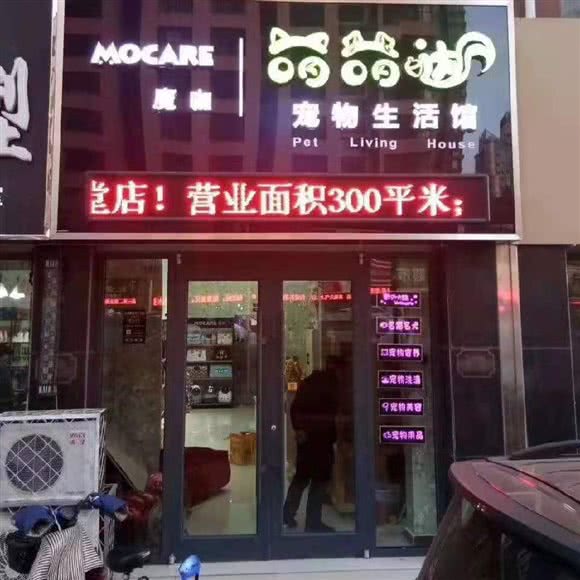 萌萌哒宠物生活馆:沧州市新华区