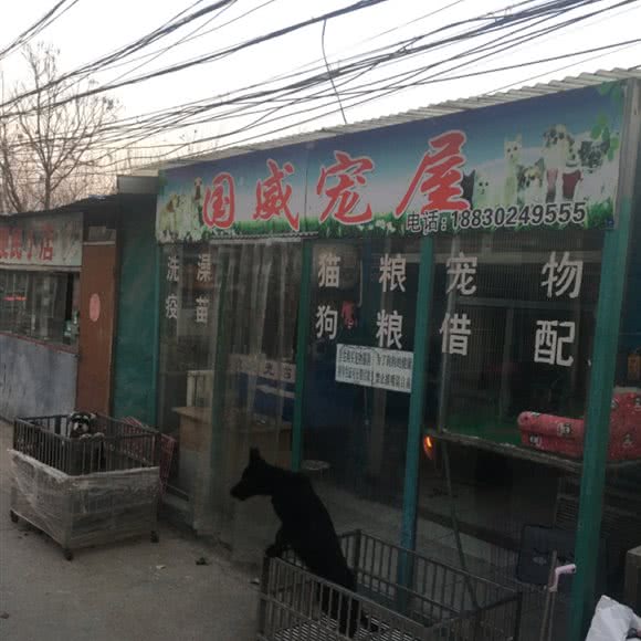 国威宠屋:保定市莲池区军校广场/河大附近