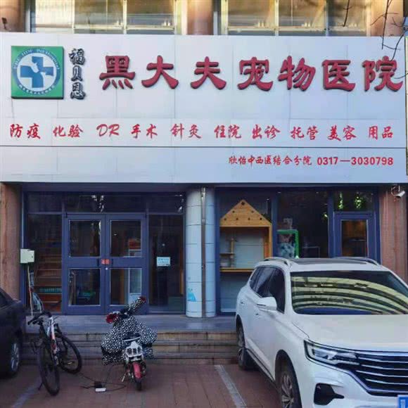 福贝恩黑大夫宠物医院(欣怡分院):沧州市新华区