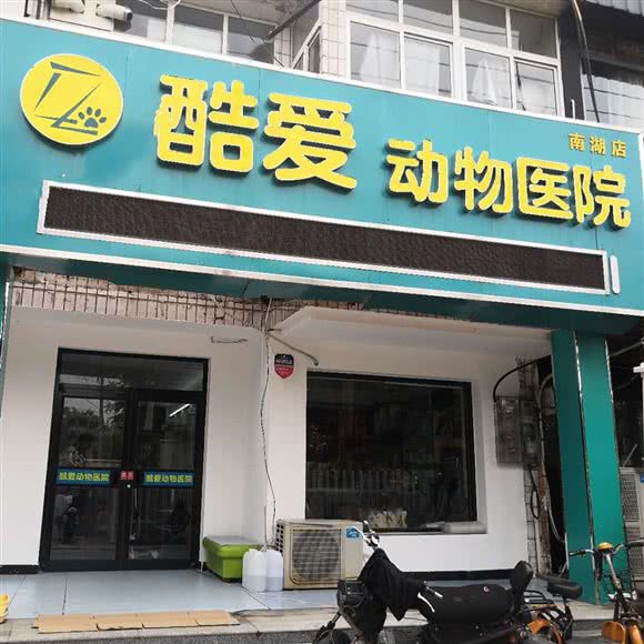 酷爱宠物诊所:沧州市新华区