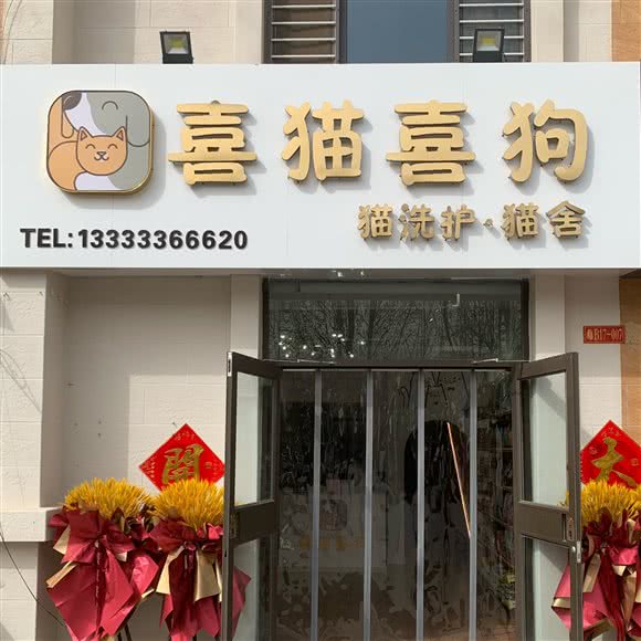 喜猫喜狗(猫咪店):沧州市运河区