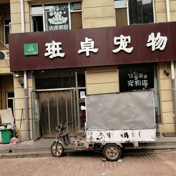 乐施班卓宠物:沧州市运河区