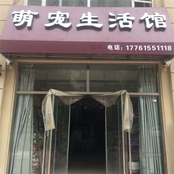 萌宠宠物:沧州市运河区
