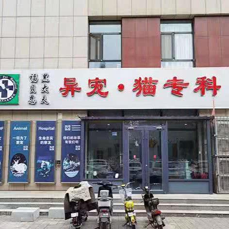 福贝恩黑大夫异宠·猫专科:沧州市运河区