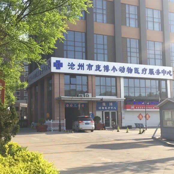 庞博小动物医疗服务中心:沧州市运河区