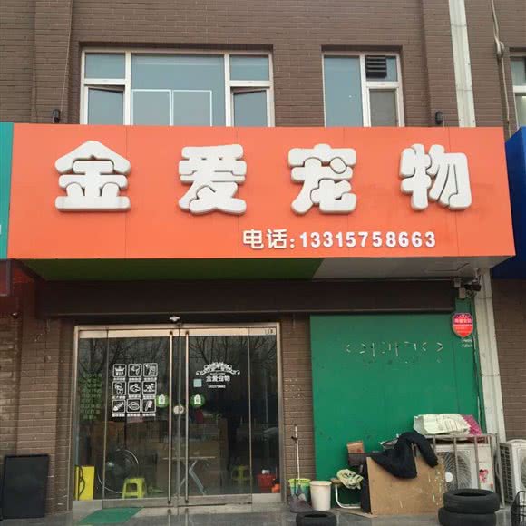 金爱宠物诊所:沧州市运河区