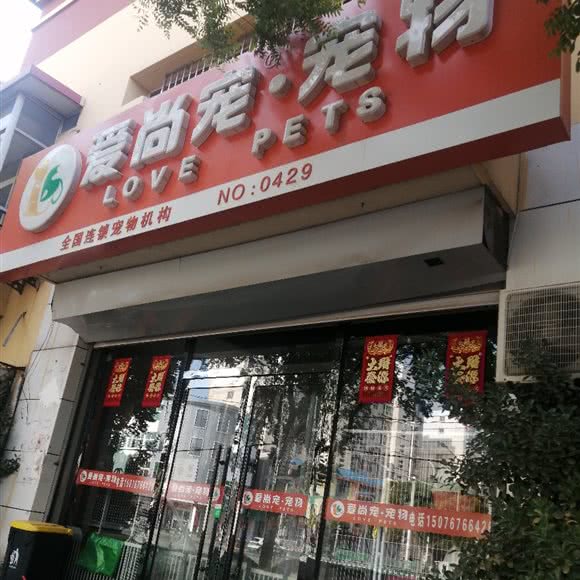 爱尚宠宠物(NO:0429):沧州市青县