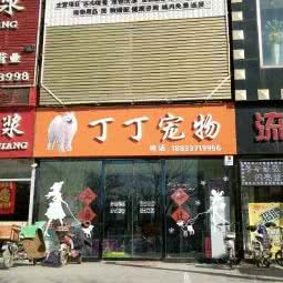 丁丁宠物:沧州市青县