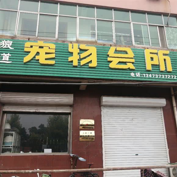 狼道宠物会所:沧州市青县