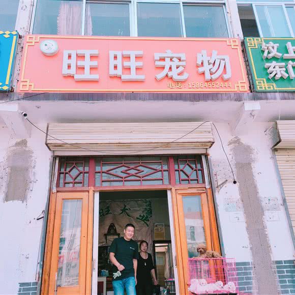 旺旺宠物:沧州市青县