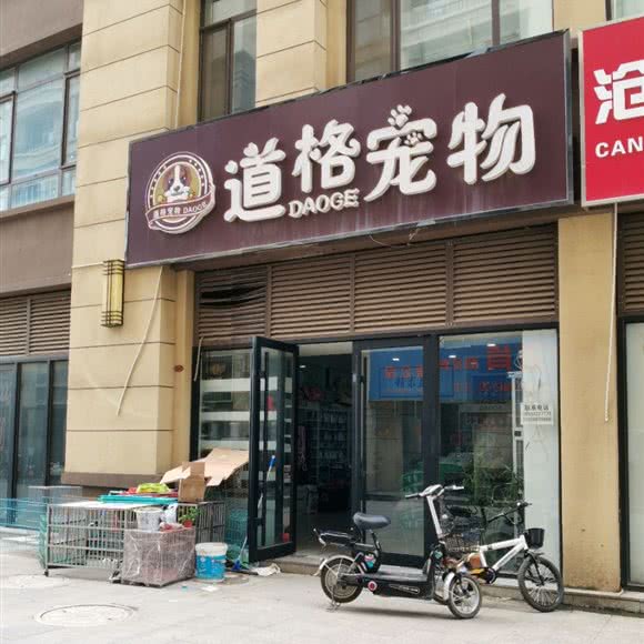 道格宠物:沧州市东光县
