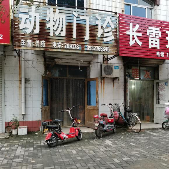 动物门诊:沧州市东光县
