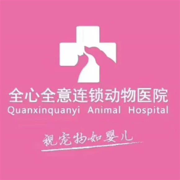 全心全意连锁动物医院(管庄店):北京城区朝阳区管庄附近