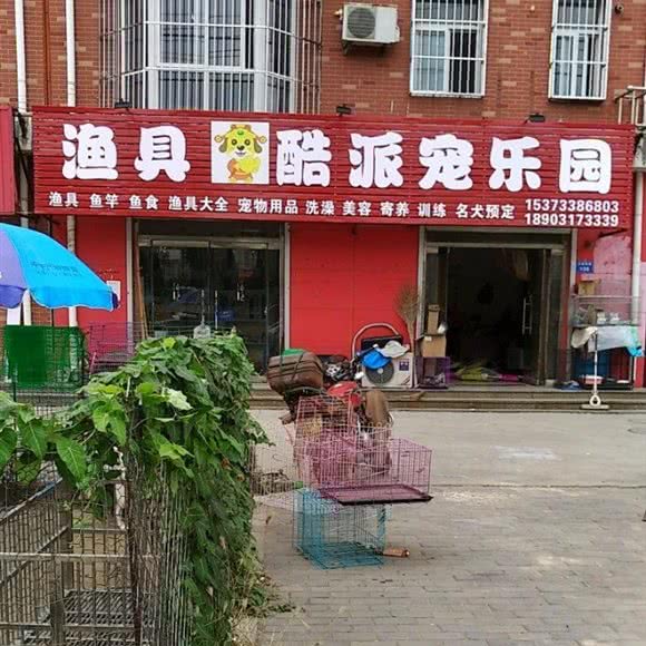 酷派宠乐园:沧州市盐山县