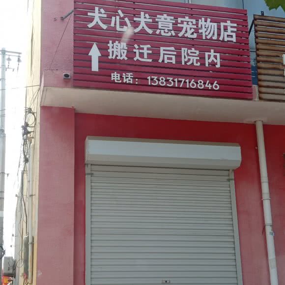 犬心犬意:沧州市肃宁县