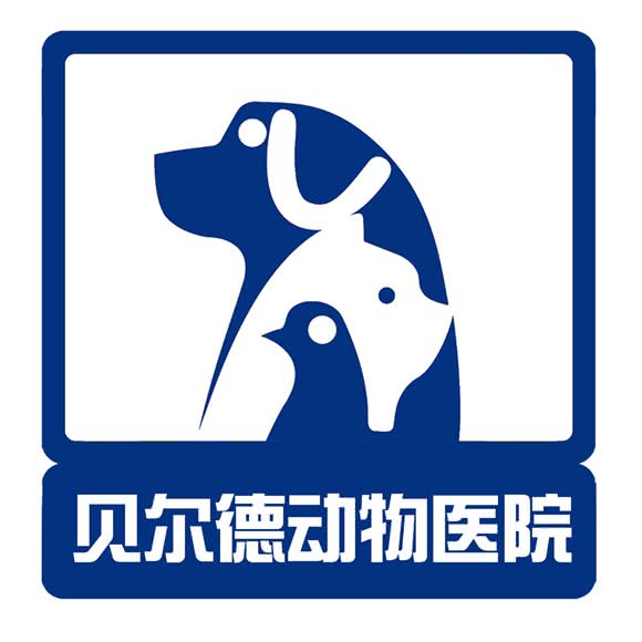 贝尔康动物医院:保定市莲池区军校广场/河大附近