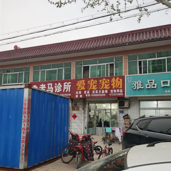 爱宠宠物:沧州市吴桥县