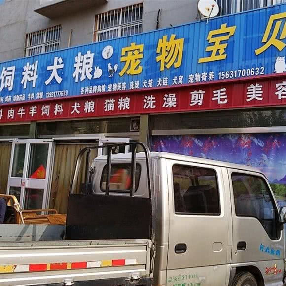 宠物宝贝:沧州市孟村回族自治县