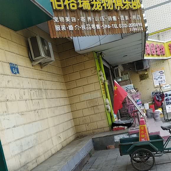 伯格瑞宠物(中华小区店):保定市莲池区东风公园附近
