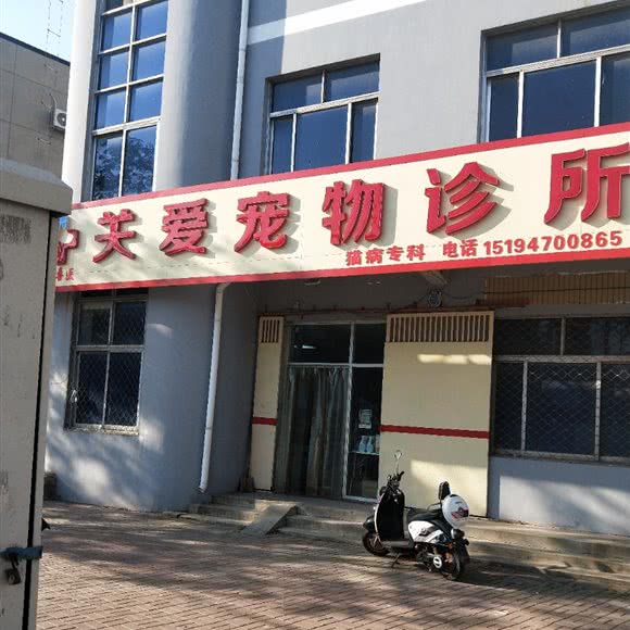 泊头市关爱宠物诊所:沧州市泊头市