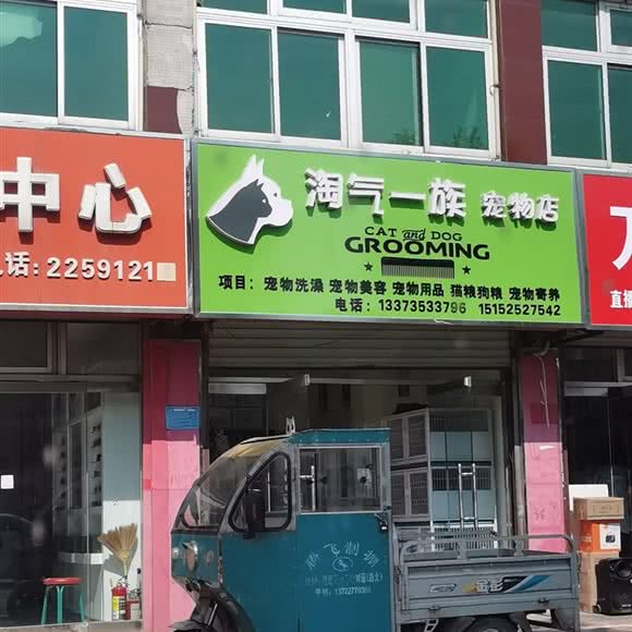 淘气一族宠物店:沧州市任丘市