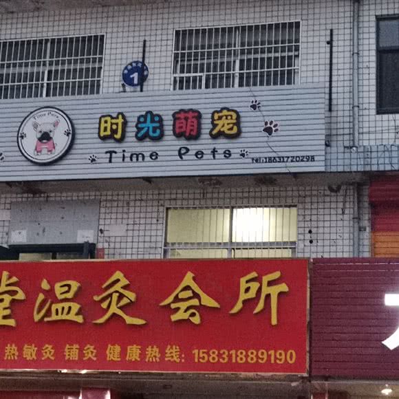 时光萌宠:沧州市任丘市