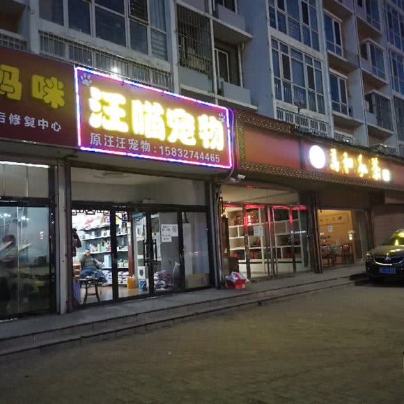 汪喵宠物:沧州市任丘市