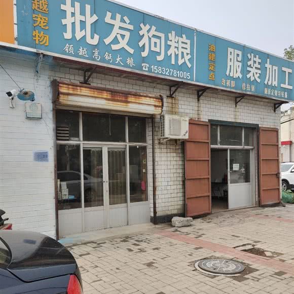 领越狗狗:沧州市任丘市