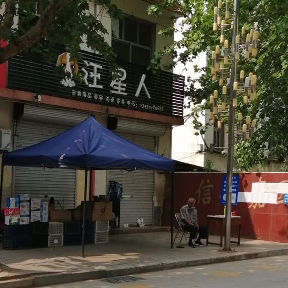 汪星人:沧州市任丘市