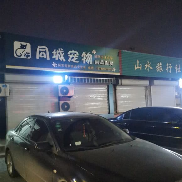 同城宠物:沧州市任丘市