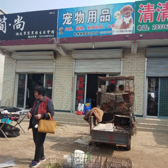 宠物用品(卧佛堂兽医站分店):沧州市任丘市
