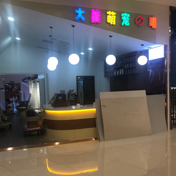 大腕萌宠の喵:保定市莲池区河北大学工商学院附近